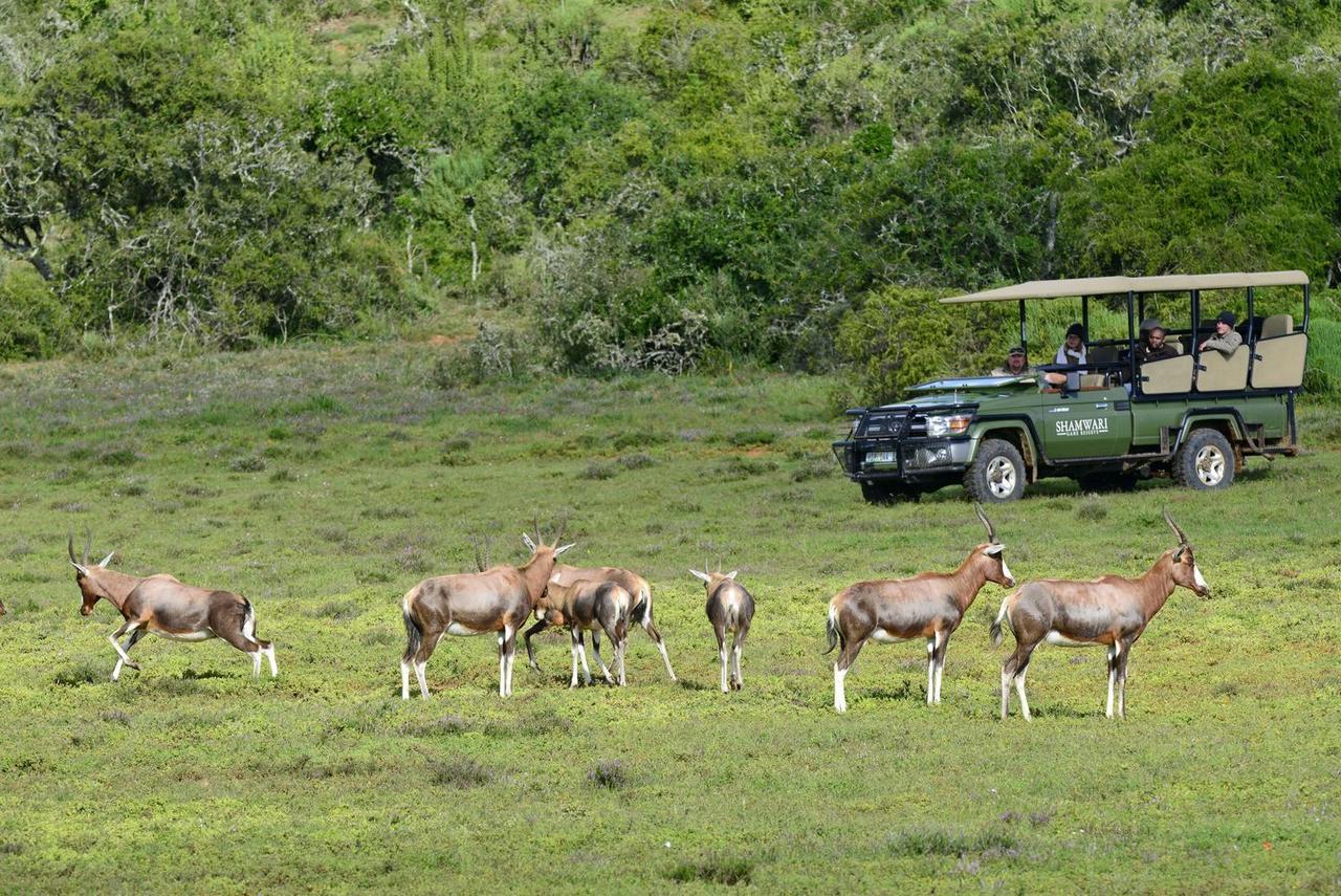 Shamwari Riverdene Paterson Esterno foto