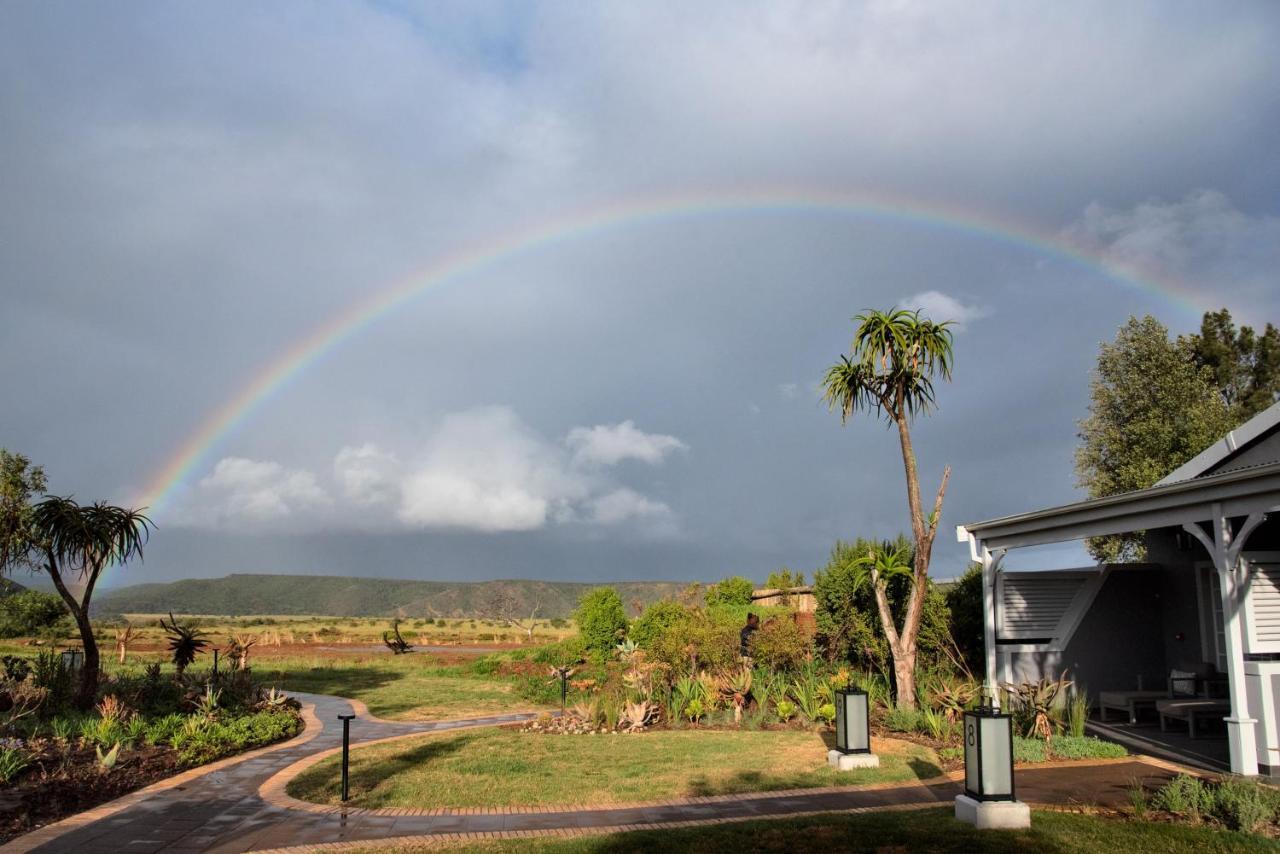 Shamwari Riverdene Paterson Esterno foto